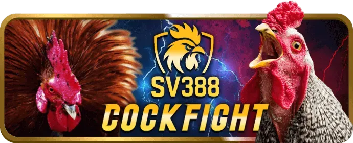 Cá cược quần vợt 89bet3000