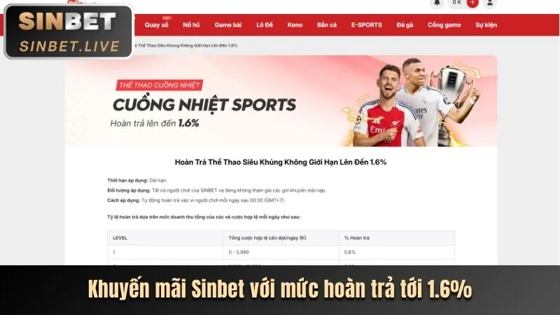 Hướng dẫn cá cược thể thao cho người mới